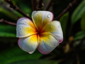 2026_06_032