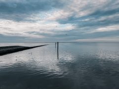 2026_09_006